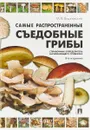 Самые распространенные съедобные грибы. Справочник-определитель начинающего грибника - М. В. Вишневский