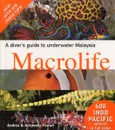 A Diver's Guide to Underwater Malaysia Macrolife - Andrea Ferrari