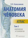 Анатомия человека. Атлас. Том 3. Неврология, эстезиология - Л.Л. Колесников