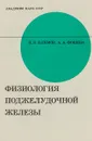 Физиология поджелудочной железы - Климов П.К., Фокина А.А.