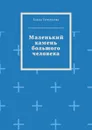 Маленький камень большого человека - Темукуева Бэлла