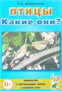 Птицы. Какие они? - Т. А. Шорыгина