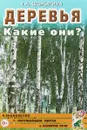 Деревья. Какие они? Знакомство с окружающим миром и развитие речи - Т. А. Шорыгина