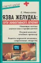 Язва желудка. Пути эффективного лечения - Е. Николаева