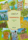 Чудесный лес. Лабиринты - В. М. Мёдов