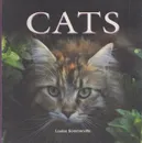 Cats/Кошки - Sommerville l.