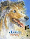 Лесси. Любовь и верность не знает преград! - Эрик Найт