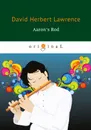 Aaron's Rod - D. H. Lawrence