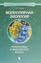 Молекулярная биология. Рибосомы и биосинтез белка - А. С. Спирин