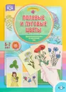 Полевые и луговые цветы. Дидактический материал по лексической теме. 5 - 7 лет - Т.А. Куликовская