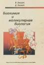 Биохимия и молекулярная биология - Эллиот В. Эллиот Д.