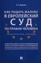 Как подать жалобу в Европейский суд по правам человека - А. А. Бирюков
