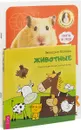 Животные. Наши лесные друзья. Я и мой аквариум. Котенок. Попугай. Хомячок. Щенок. Черепашка (комплект из 8 книг) - Звездана Майхен, Надежда Лисапова