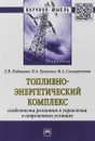 Топливно-энергетический комплекс. Особенности развития и управления в современных условиях - Е. В. Видищева, О. А. Бугаенко, М. А. Селиверстова