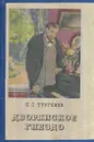 Дворянское гнездо - Тургенев И.С.
