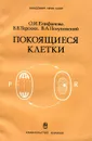 Покоящиеся клетки - Епифанова О., Терских В., Полуновский В.