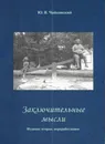 Заключительные мысли - Ю.В.Чайковский