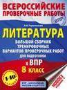 Литература. 8 класс. ВПР. Большой сборник тренировочных вариантов заданий - Гороховская Л. Н.