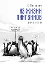 Из жизни пингвинов. Рассказы - Петрович Р.