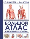 Большой атлас анатомии человека - Р. П. Самусев,В. А. Агеева