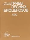 Грибы лесных биоценозов: Атлас - Цилюрик А. В., Шевченко С. В.