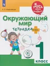 Окружающий мир. 1 класс. Тетрадка-плюс. Учебное пособие для общеобразовательных организаций - Е. Л. Инденбаум