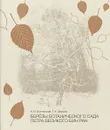 Березы Ботанического сада Петра Великого. БИН РАН - А. В. Волчанская