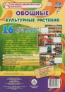 Овощные культурные растения. 16 демонстрационных дидактических красочных карт - Виноградова Е. А.