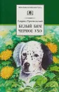 Белый Бим Черное ухо - Гавриил Троепольский