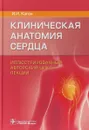 Клиническая анатомия сердца. Иллюстрированный авторский цикл лекций - И. И. Каган