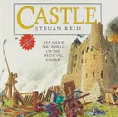 Castle - Struan Reid