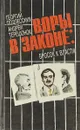 Воры в законе: бросок к власти - Георгий Подлесских, Андрей Терешонок