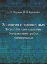 Зоология позвоночных. Часть 1. Низшие хордовые, безчелюстные, рыбы, земноводные - Н. П. Наумов, Н. Н. Карташев