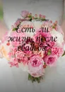 Есть ли жизнь после свадьбы - Лакутин Николай Владимирович