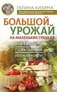 Большой урожай на маленьких грядках. Все секреты повышения урожайности - Кизима Галина Александровна
