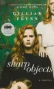 Sharp Objects - Флинн Гиллиан