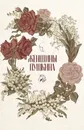Женщины Пушкина (комплект из 3 книг) - М. Барыкова, Л. Фомина, Е. Литвинская