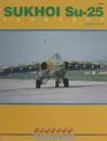 Sukhoi Su - 25 Frogfoot - Sergey Skrynnikov