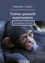 Тайна рыжей мартышки. Волшебные хроники - Сушко Любовь