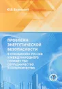 Проблема энергетической безопасности в отношениях России и международного сообщества: сотрудничество и соперничество. - Боровский Ю.В.