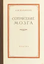Сотрясение мозга (патогенез, клиника и лечение) - А. Н. Новиков