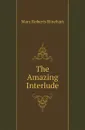 The Amazing Interlude - Rinehart Mary Roberts