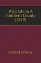 Wild Life In A Southern County (1879) - Richard Jefferies