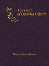 The Fruit of Opuntia Fulgida - D.S. Johnson