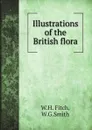 Illustrations of the British flora - W.H. Fitch, W.G.Smith