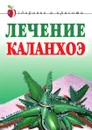 Лечение каланхоэ - А.В. Мельник