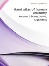 Hand atlas of human anatomy. Volume 1. Bones, Joints, Ligaments - Lewellys F. Barker, Werner Spalteholz