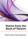 Poems from the Book of Taliesin - Evans John Gwenogvryn