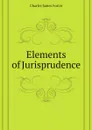 Elements of Jurisprudence - Charles James Foster