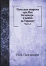 Польская анархия при Яне Казимире и война за Украину. Часть 3 - Н.И. Павлищев